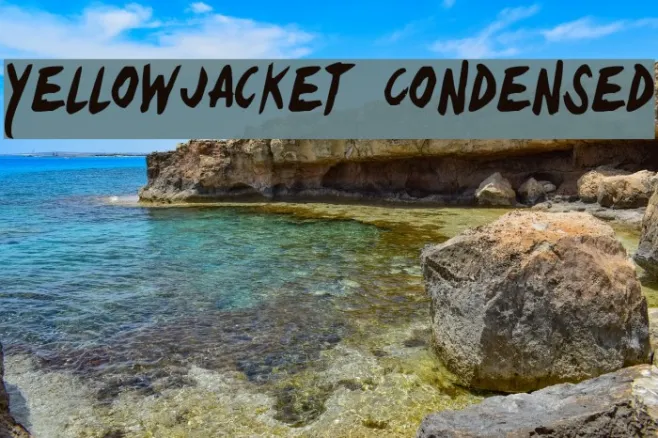 Yellowjacket Condensed Example 2