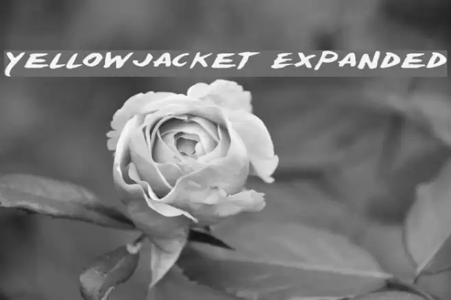 Yellowjacket Expanded Font examples