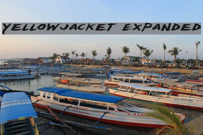 Yellowjacket Expanded Polices examples