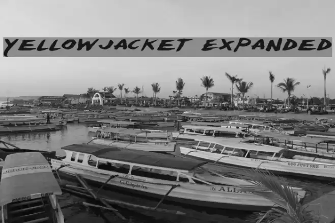 Yellowjacket Expanded Font examples