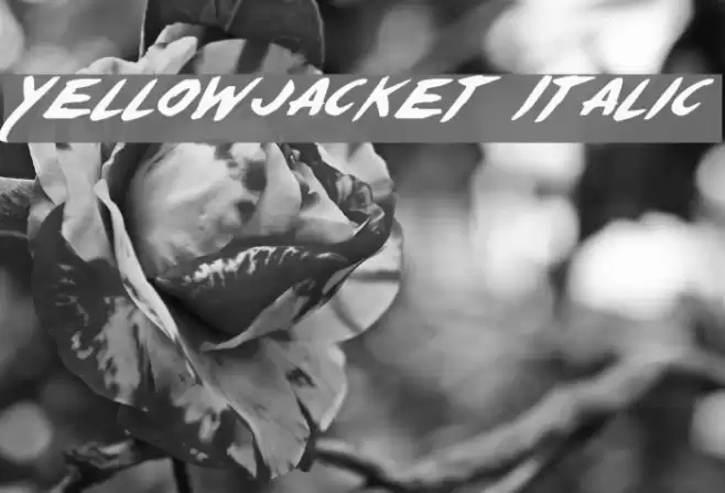 Yellowjacket Italic Font examples
