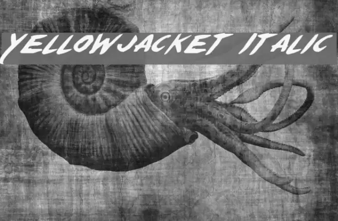 Yellowjacket Italic Font examples
