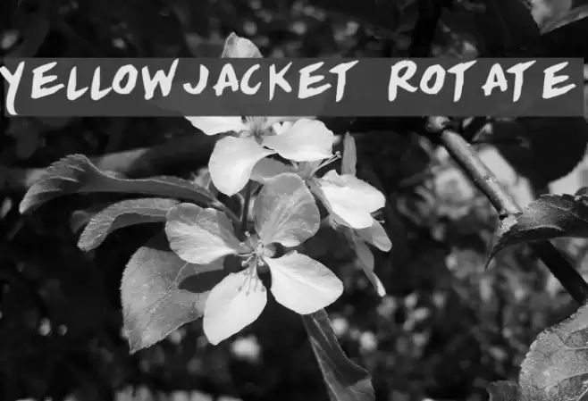 Yellowjacket Rotate Font examples