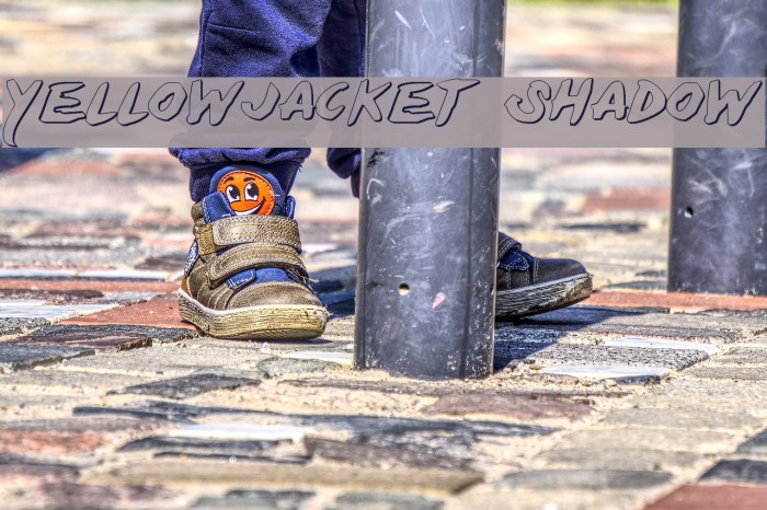 Yellowjacket Shadow Font examples
