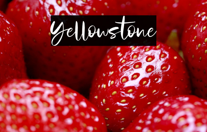 Yellowstone Example 3