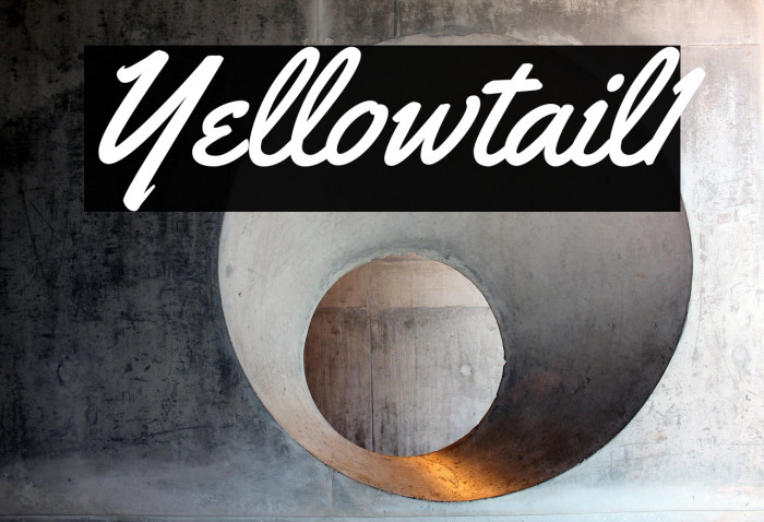 Yellowtail1 Example 2