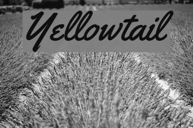 Yellowtail Caratteri examples