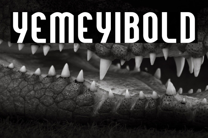 YemeyiBold Example 3