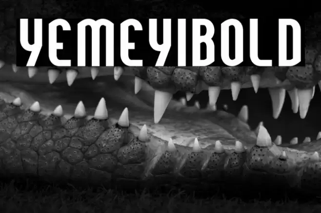 YemeyiBold Font examples