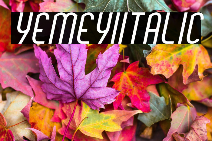 YemeyiItalic Example 1