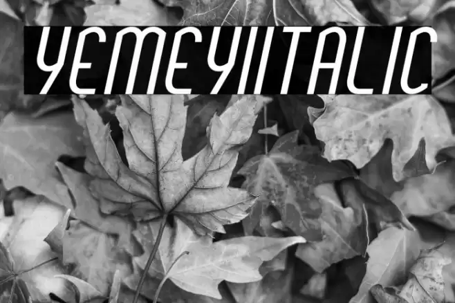 YemeyiItalic Font examples