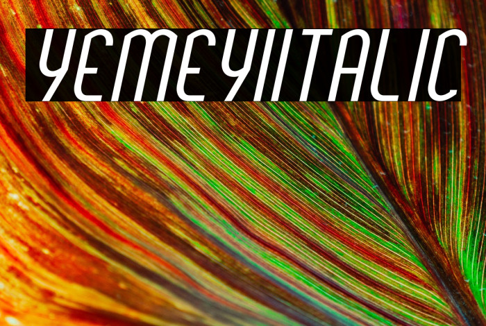 YemeyiItalic Example 2