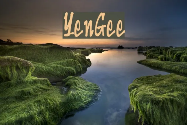 YenGee Example 1