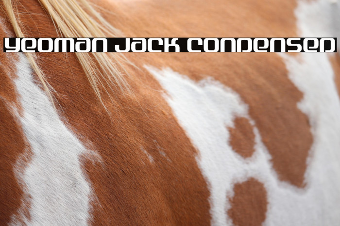 Yeoman Jack Condensed Example 3