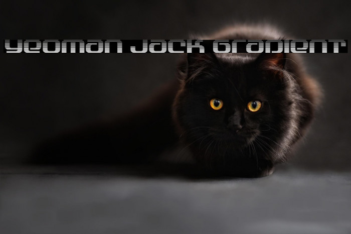 Yeoman Jack Gradient Example 2