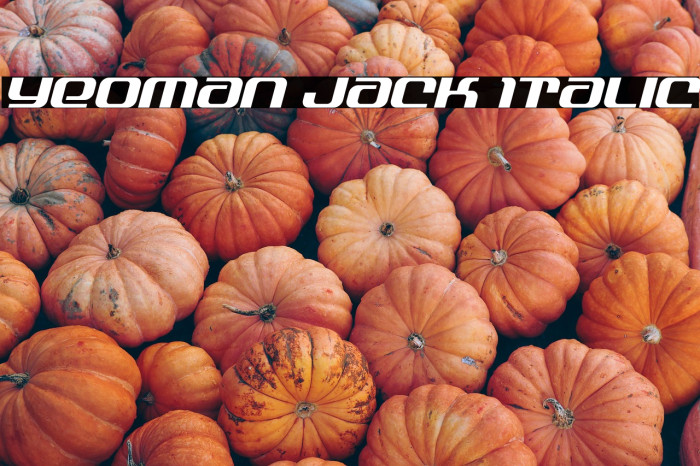 Yeoman Jack Italic Example 3