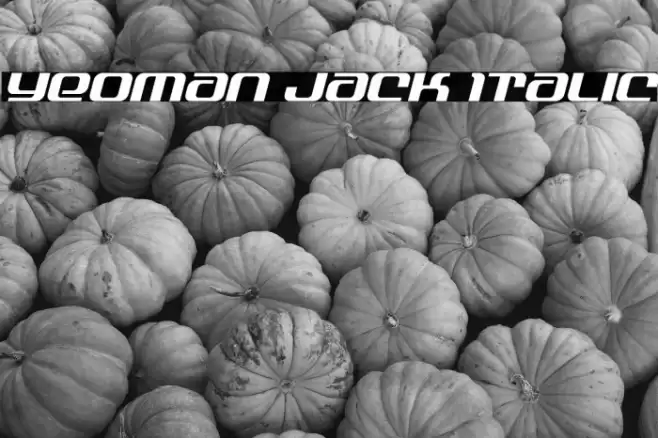 Yeoman Jack Italic Font examples