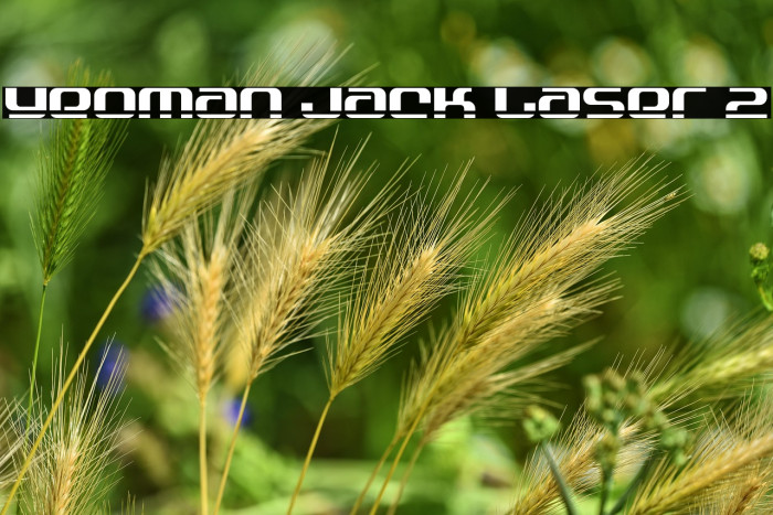 Yeoman Jack Laser 2 Example 2