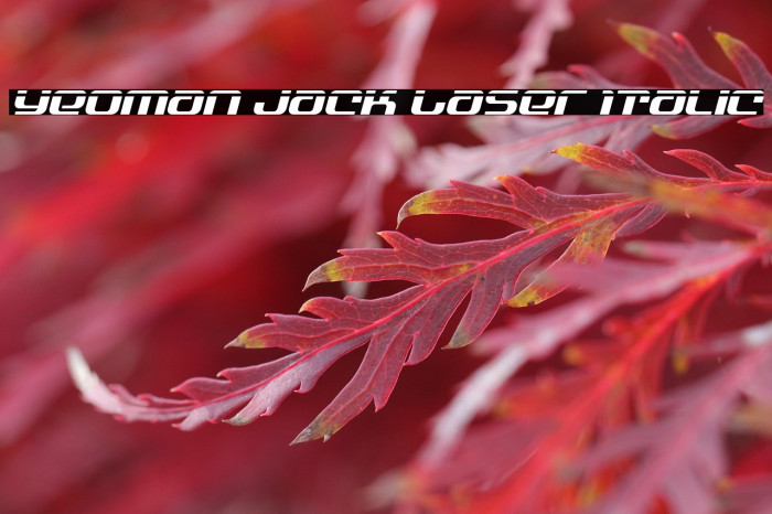 Yeoman Jack Laser Italic Example 1