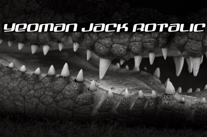 Yeoman Jack Rotalic Example 1