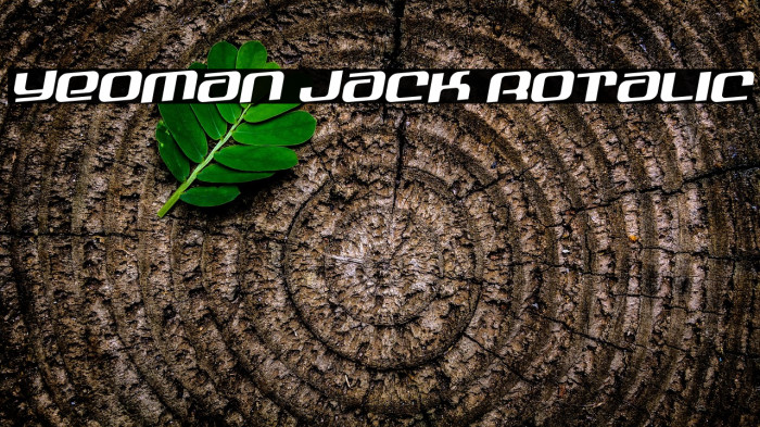 Yeoman Jack Rotalic Example 2