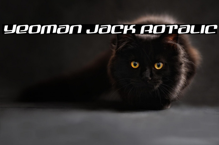 Yeoman Jack Rotalic Example 3