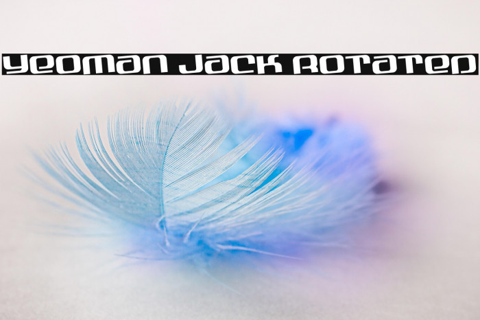 Yeoman Jack Rotated Example 1