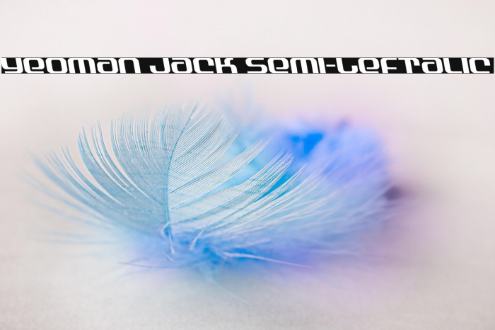 Yeoman Jack Semi-Leftalic Example 3