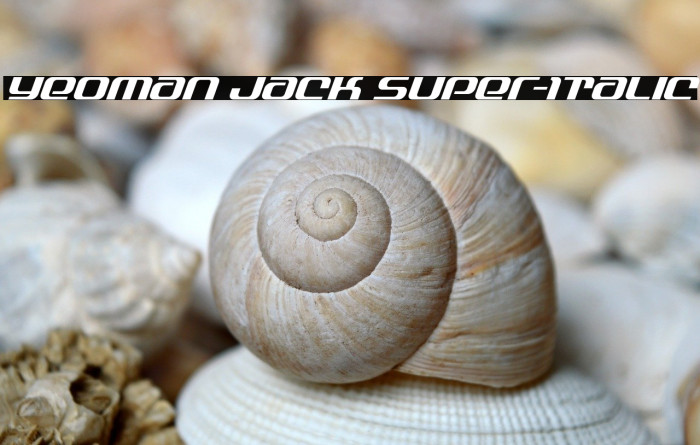 Yeoman Jack Super-Italic Example 2