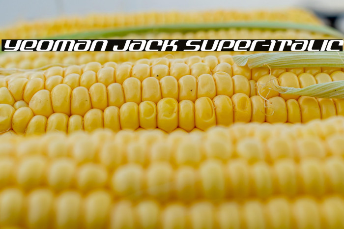 Yeoman Jack Super-Italic Example 3