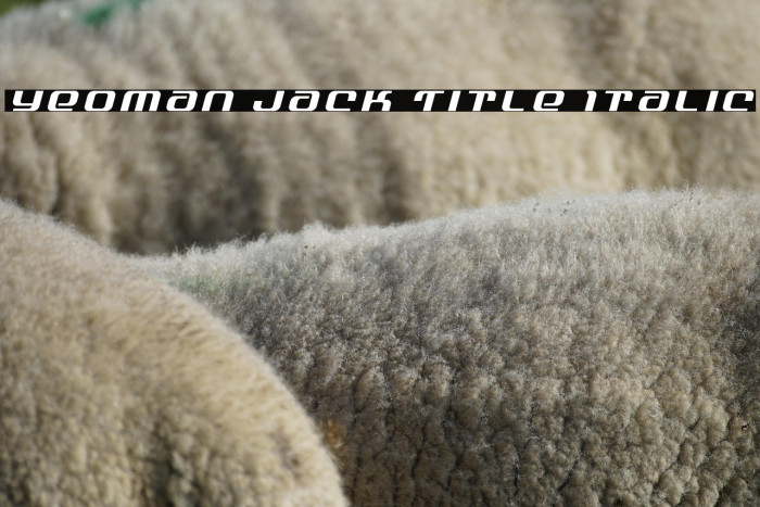 Yeoman Jack Title Italic Example 2