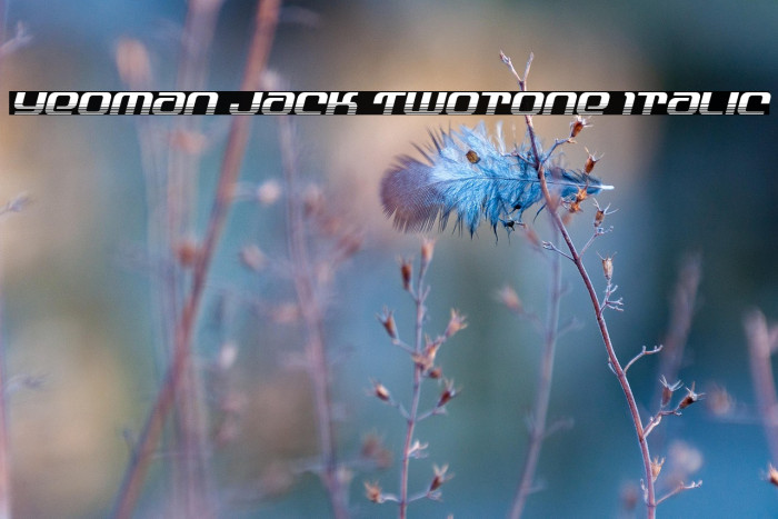 Yeoman Jack Twotone Italic Example 3