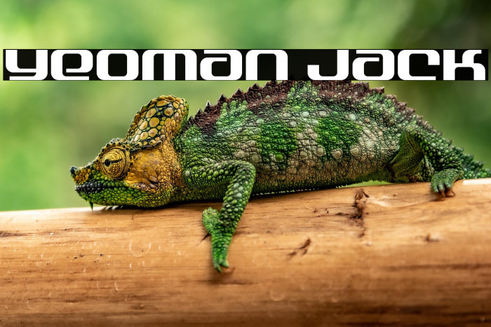 Yeoman Jack Example 2