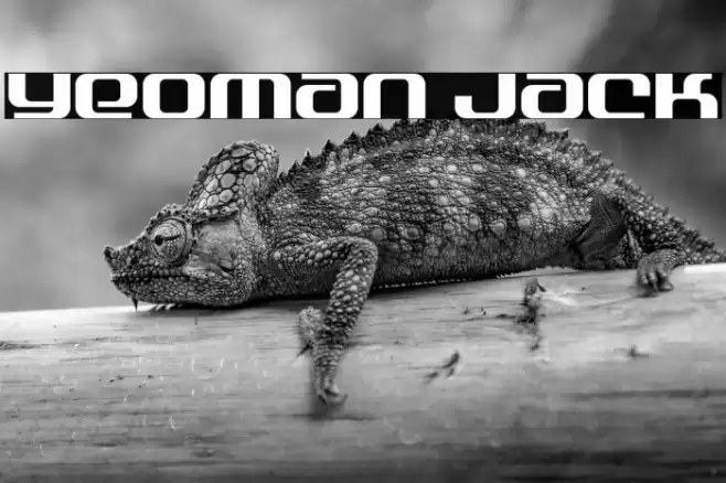 Yeoman Jack Font examples