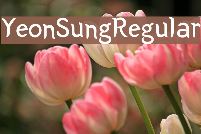 Yeon Sung Regular Font examples