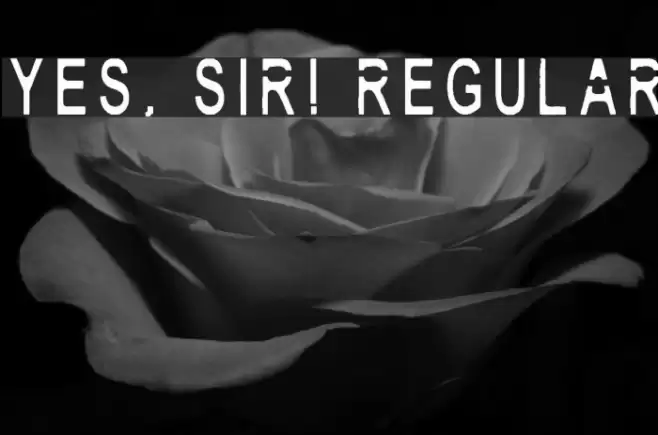 Yes, Sir! Regular Fonte examples