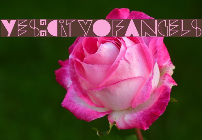 Yes:CityOfAngels フォント examples