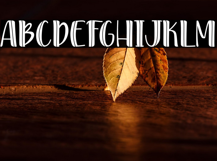 YesReiko-PersonalUse Example 2