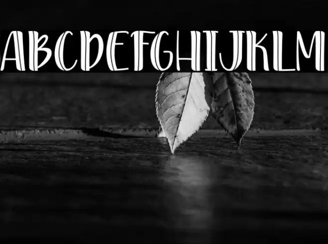 YesReiko-PersonalUse Font examples