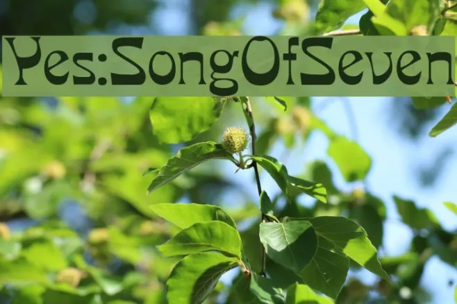 Yes:SongOfSeven Example 2