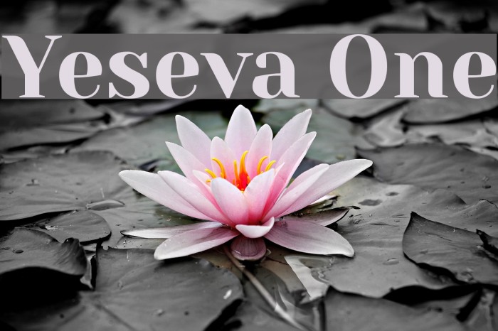 Yeseva One Example 1