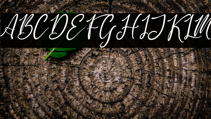 Yesinty Italic Example 1