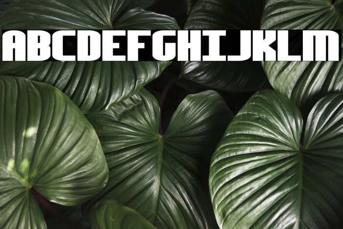 Yesterday BRK Font examples