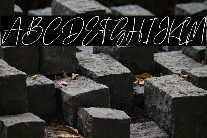 Yesterday Delmote Italic Example 2