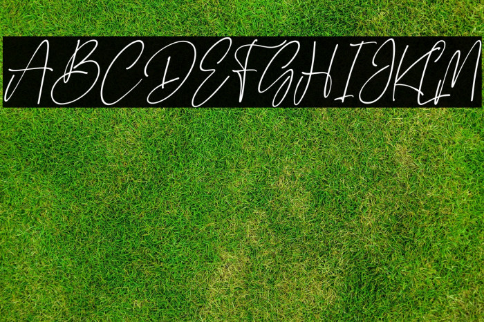 Yesterday Delmote Italic Example 3