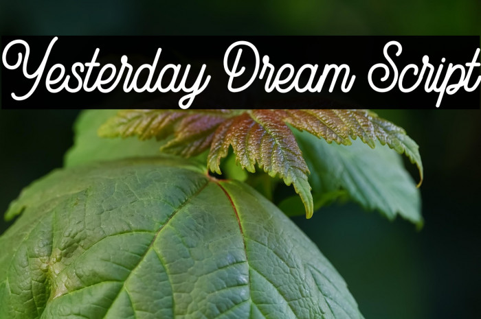 Yesterday Dream Script Example 1