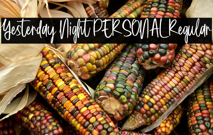 Yesterday Night PERSONAL Regular Example 2