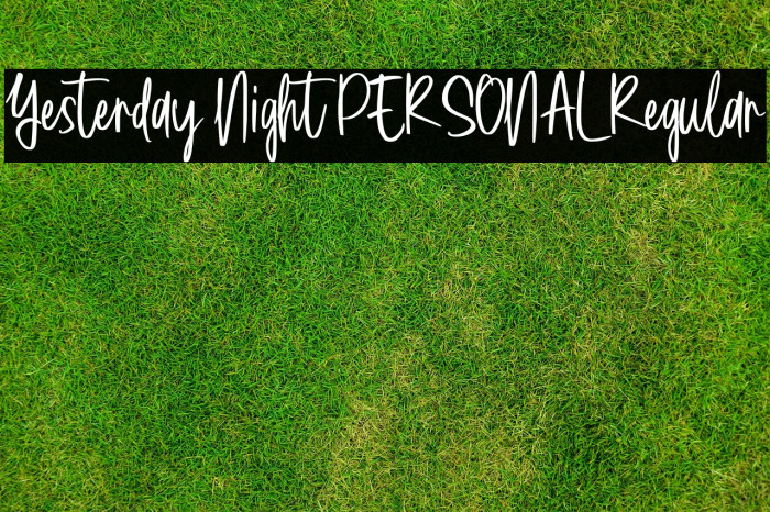 Yesterday Night PERSONAL Regular Example 3