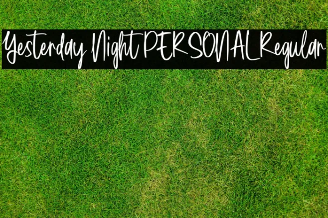 Yesterday Night PERSONAL Regular Example 3