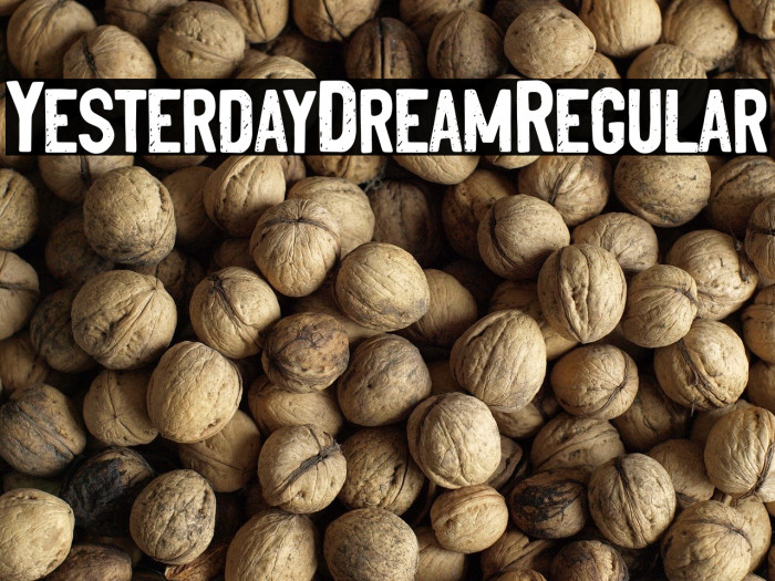 YesterdayDreamRegular Example 1